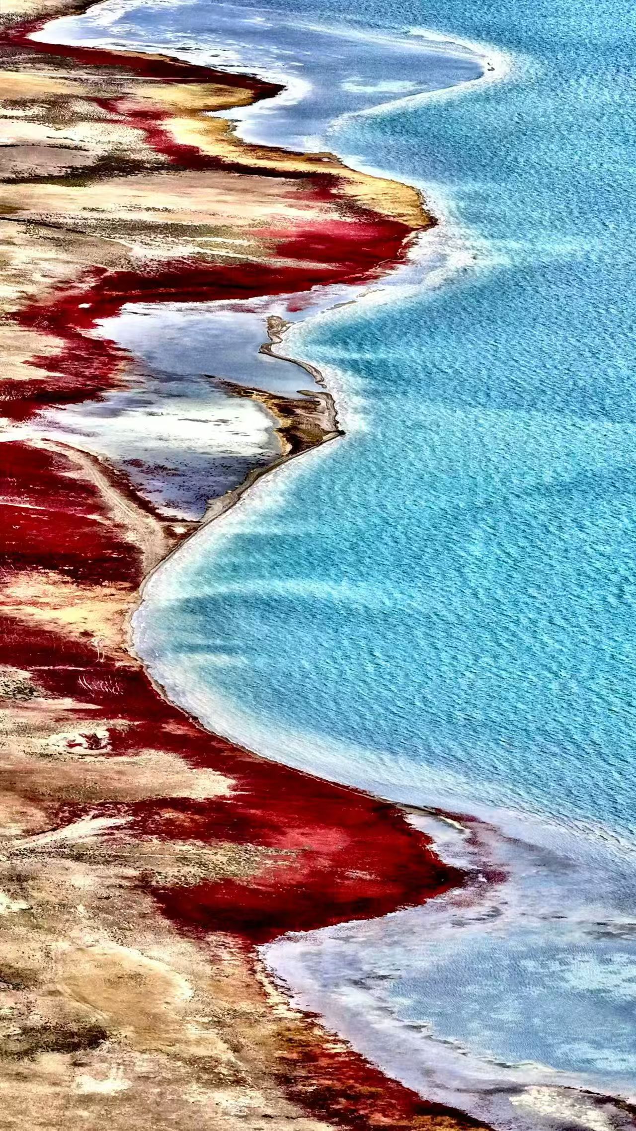 81a8cd85bb19e7b2634d6be10fa35263